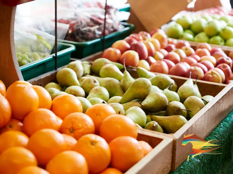 Farm Diversification