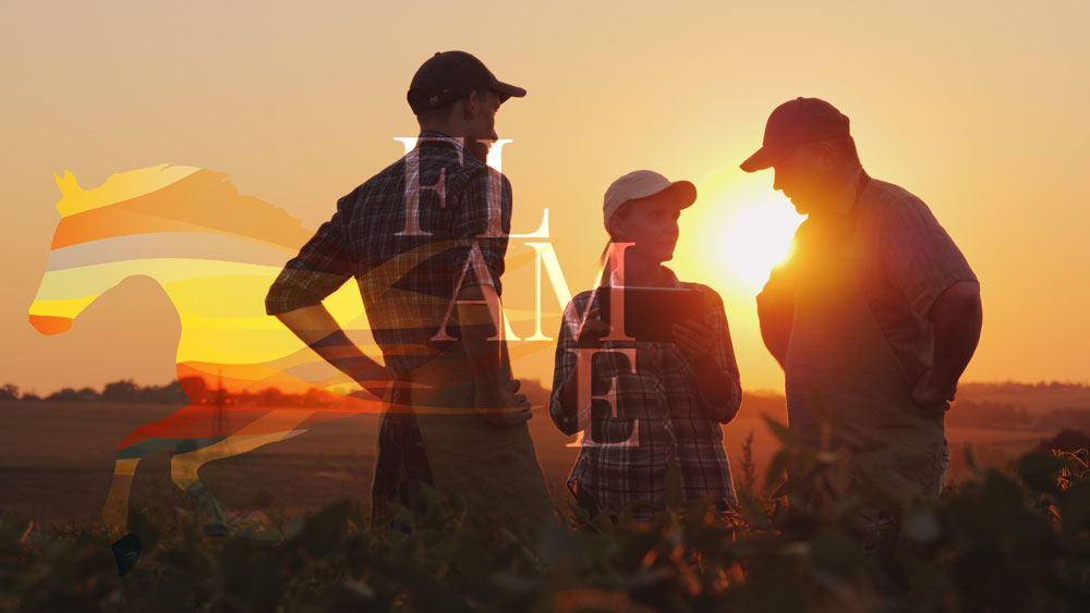 Flame Marketing | Agricultural Marketing Agency | Marketing Solutions