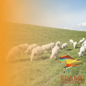 Agri business