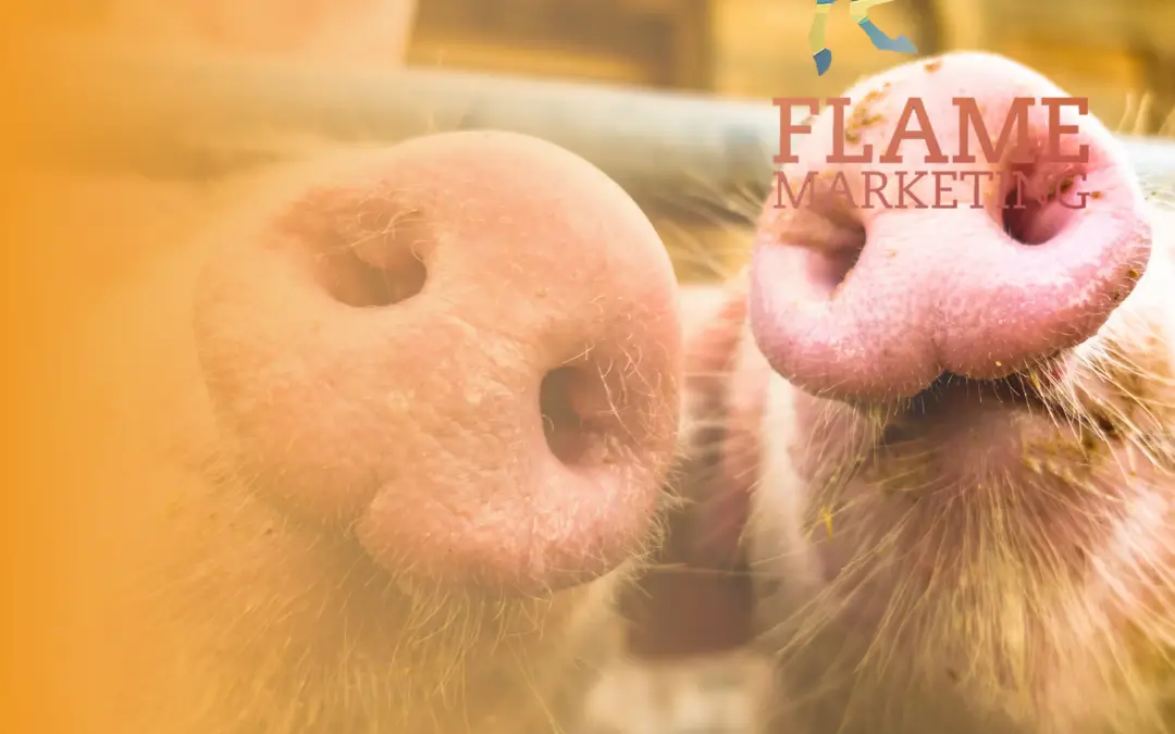 pork diversification
