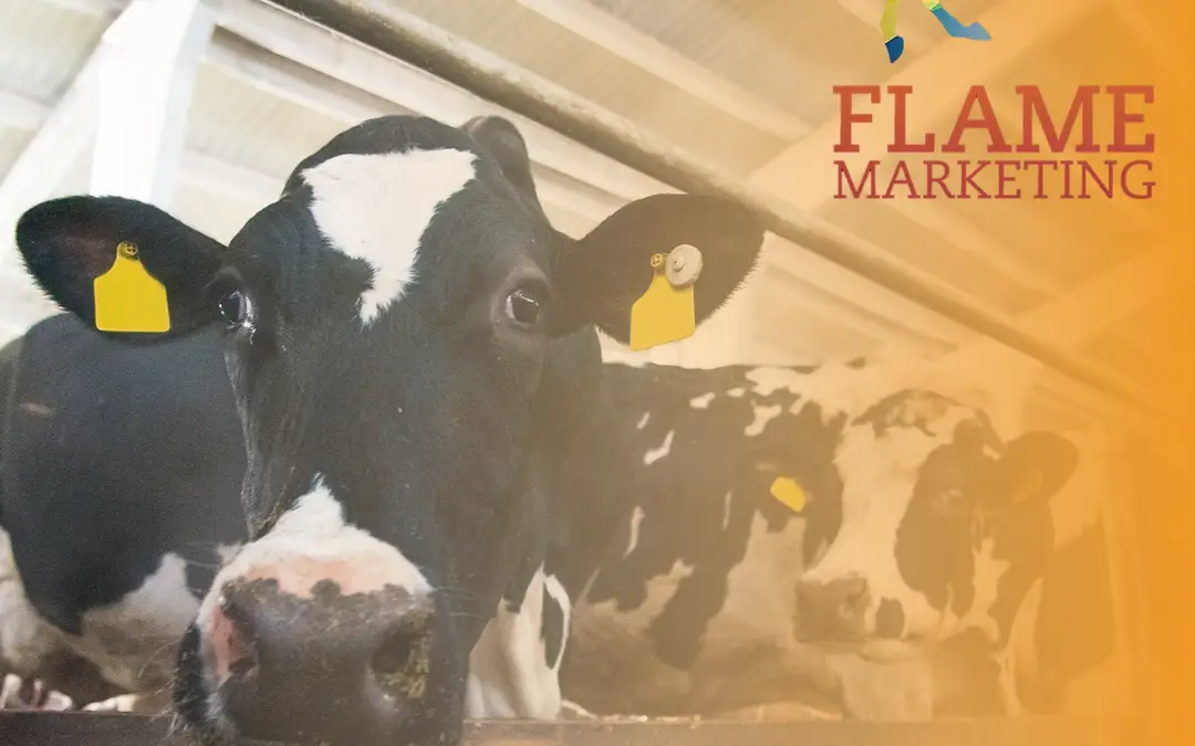 farm marketing
