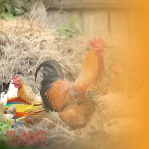 farm marketing