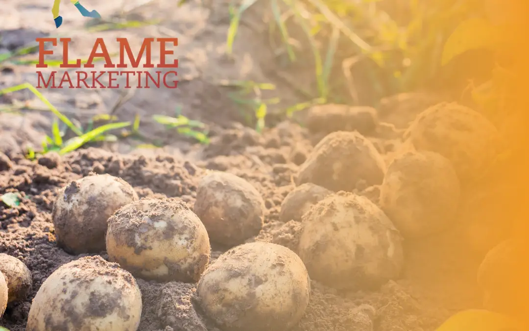 Farm Diversification