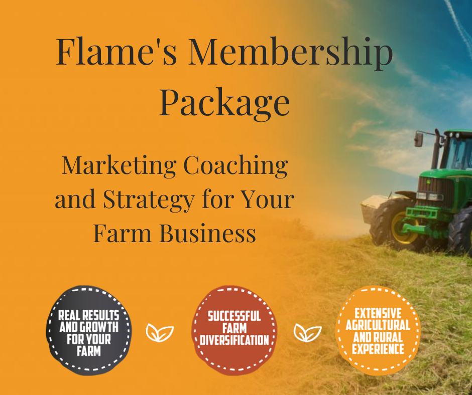 Flame’s Marketing Coaching Membership