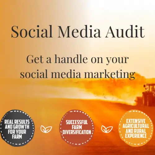 Social Media Marketing Audit