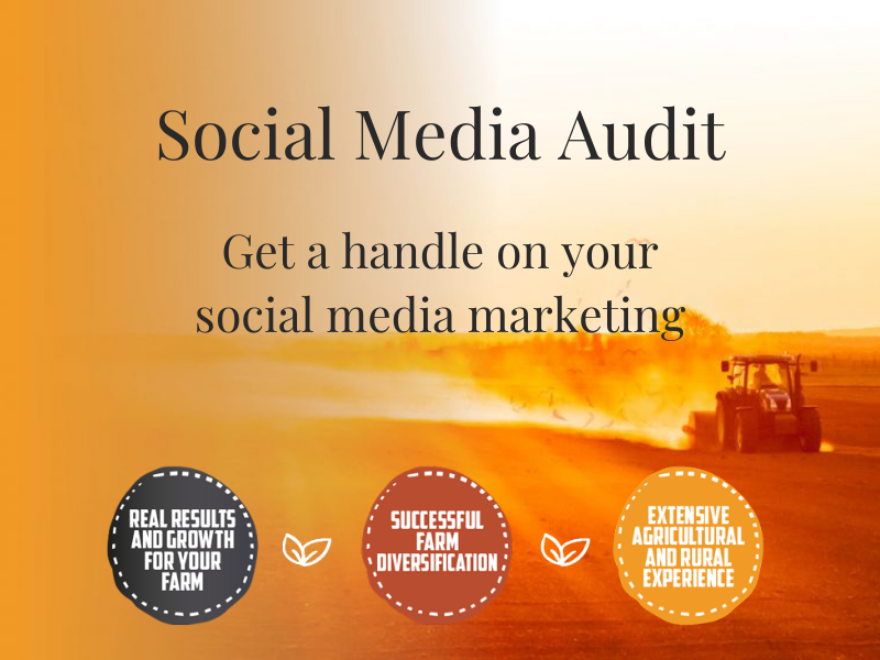 Social Media Marketing Audit