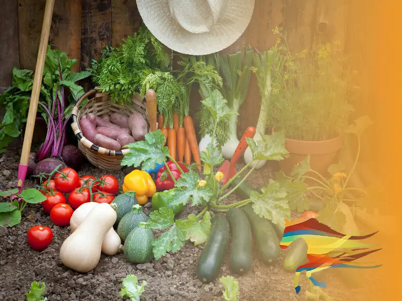 email marketing for farm shops