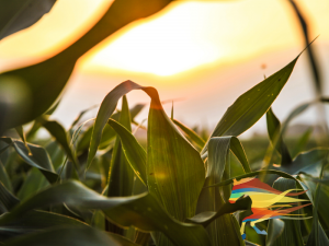 Net-zero farming