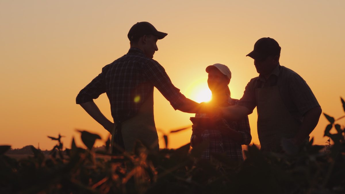 SEO for farm diversification