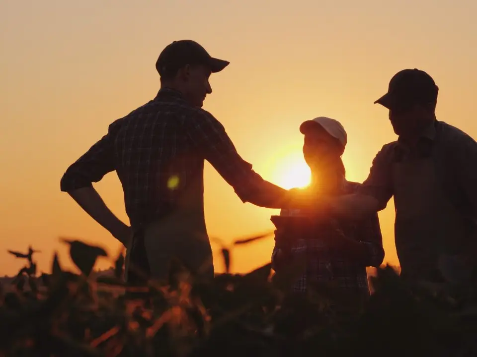 SEO for farm diversification