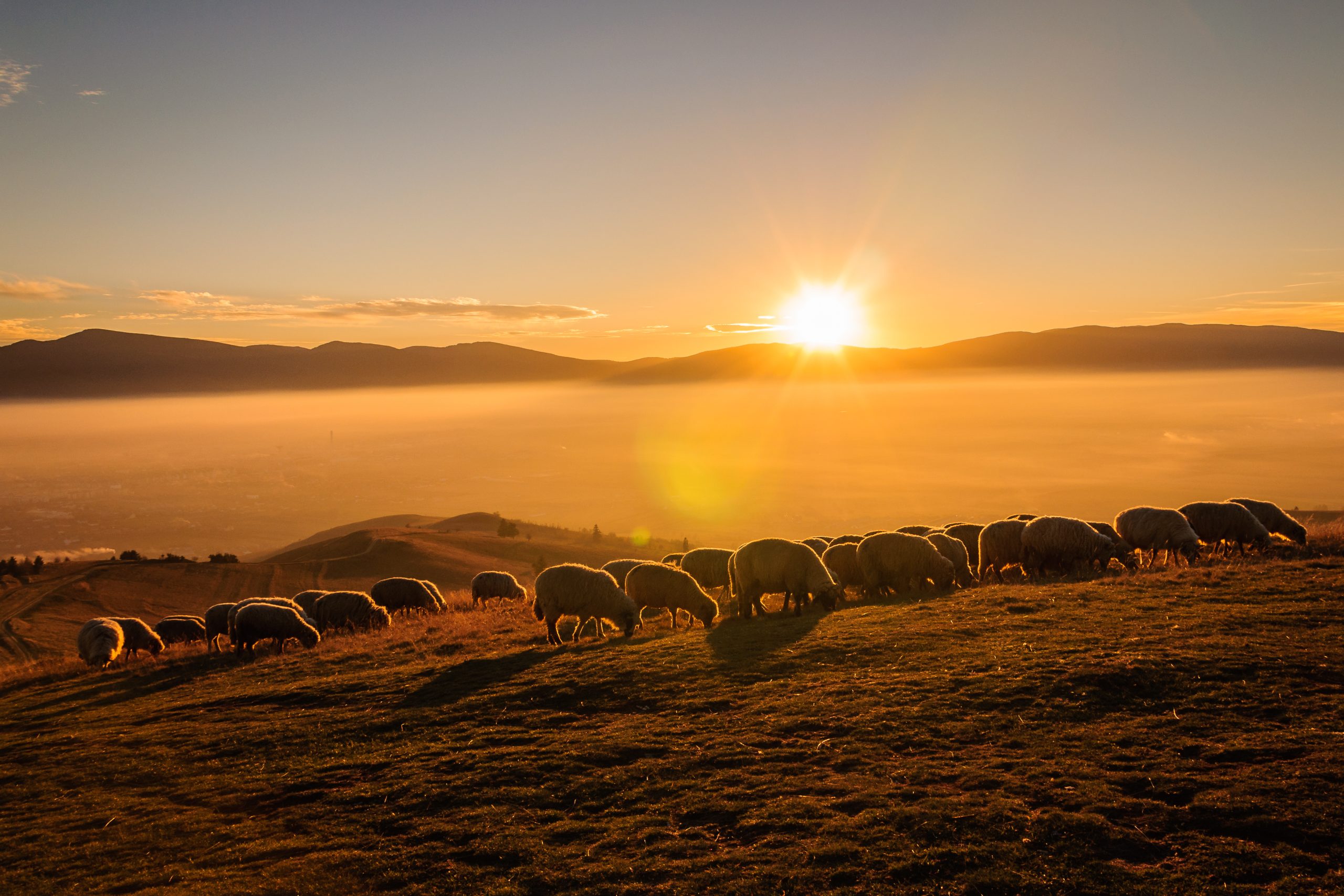 User-generated content