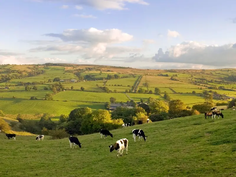 How to Create Engaging Blog Content for Your Farm's Website
