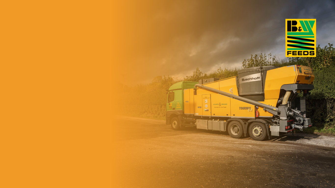 BW Feeds - Branding for agricultural businesses