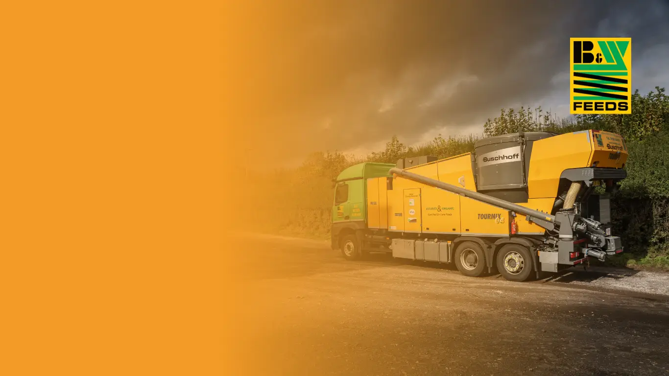 BW Feeds - Branding for agricultural businesses
