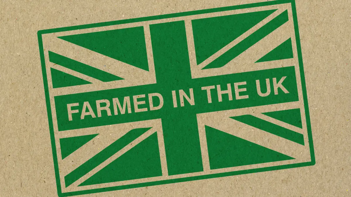 social media graphics for farm businesses