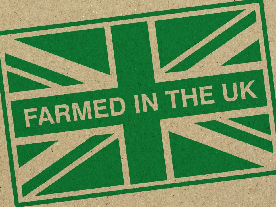 social media graphics for farm businesses