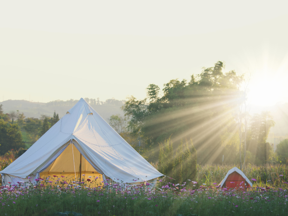 User-generated content and how powerful it is for farm diversification, glamping and more - UGC