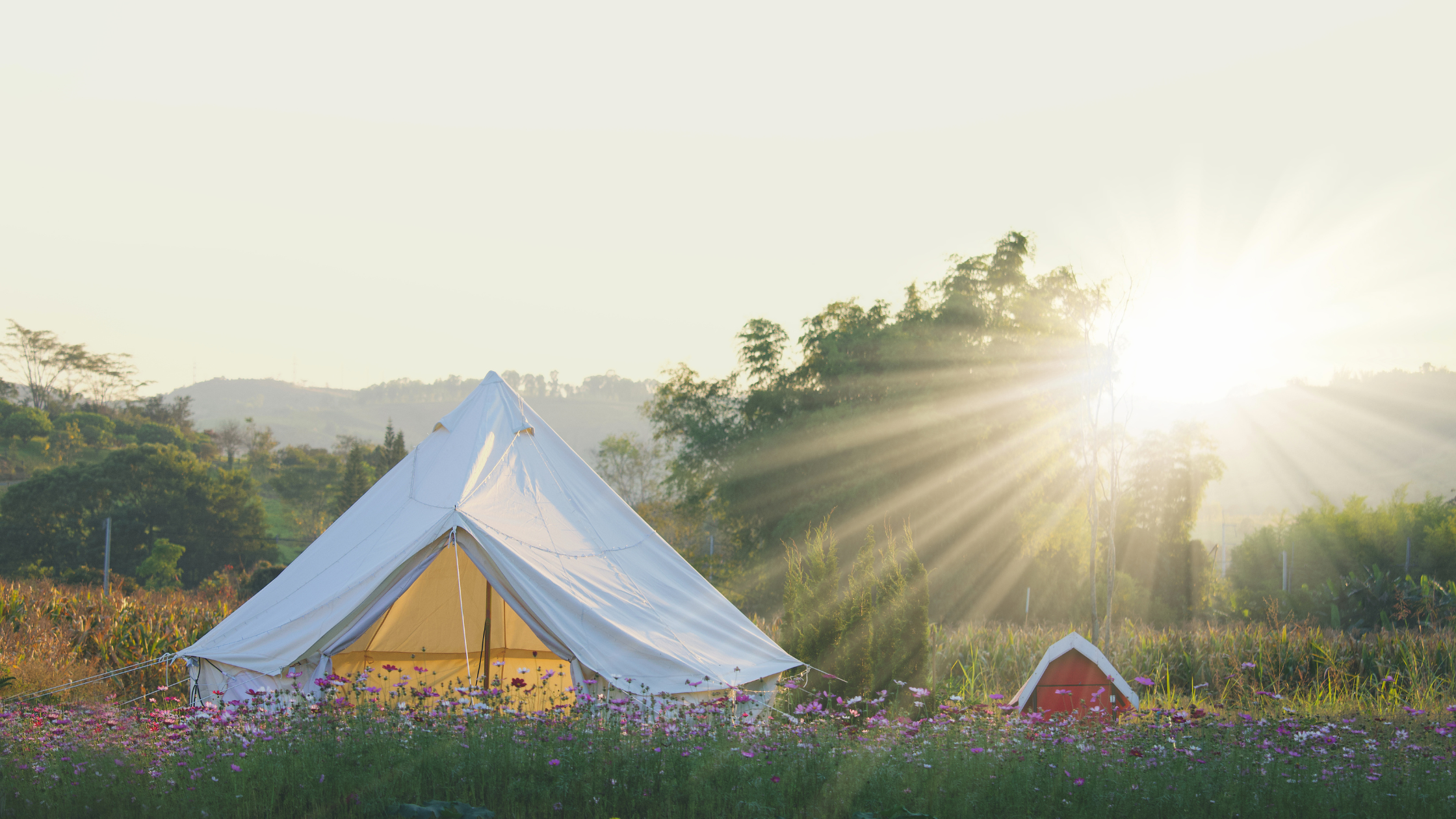 User-generated content and how powerful it is for farm diversification, glamping and more - UGC