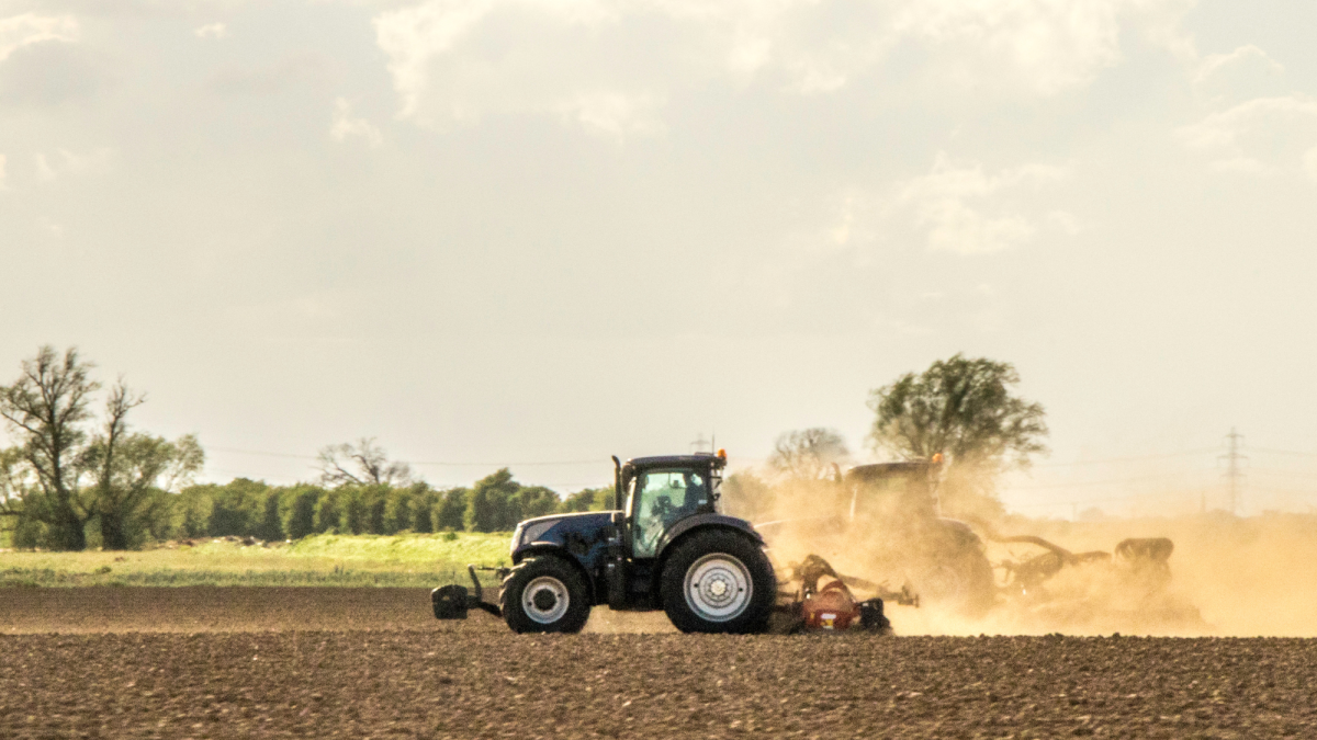 Farm marketing and farm diversification on small family farms.