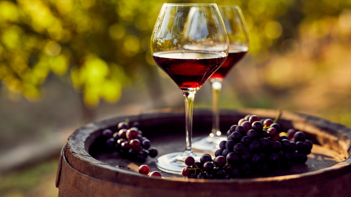 vineyard to wedding venue