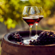 vineyard to wedding venue