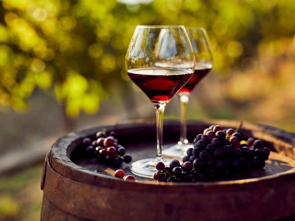 vineyard to wedding venue