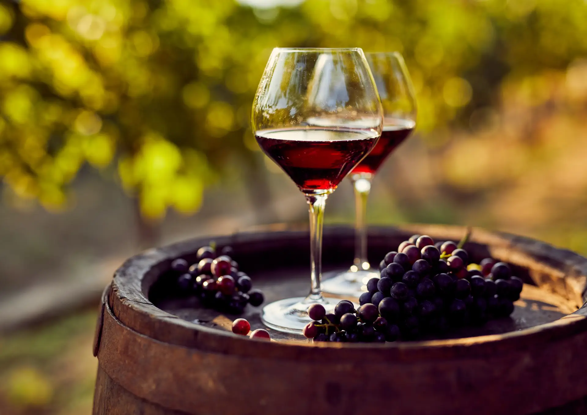 vineyard to wedding venue
